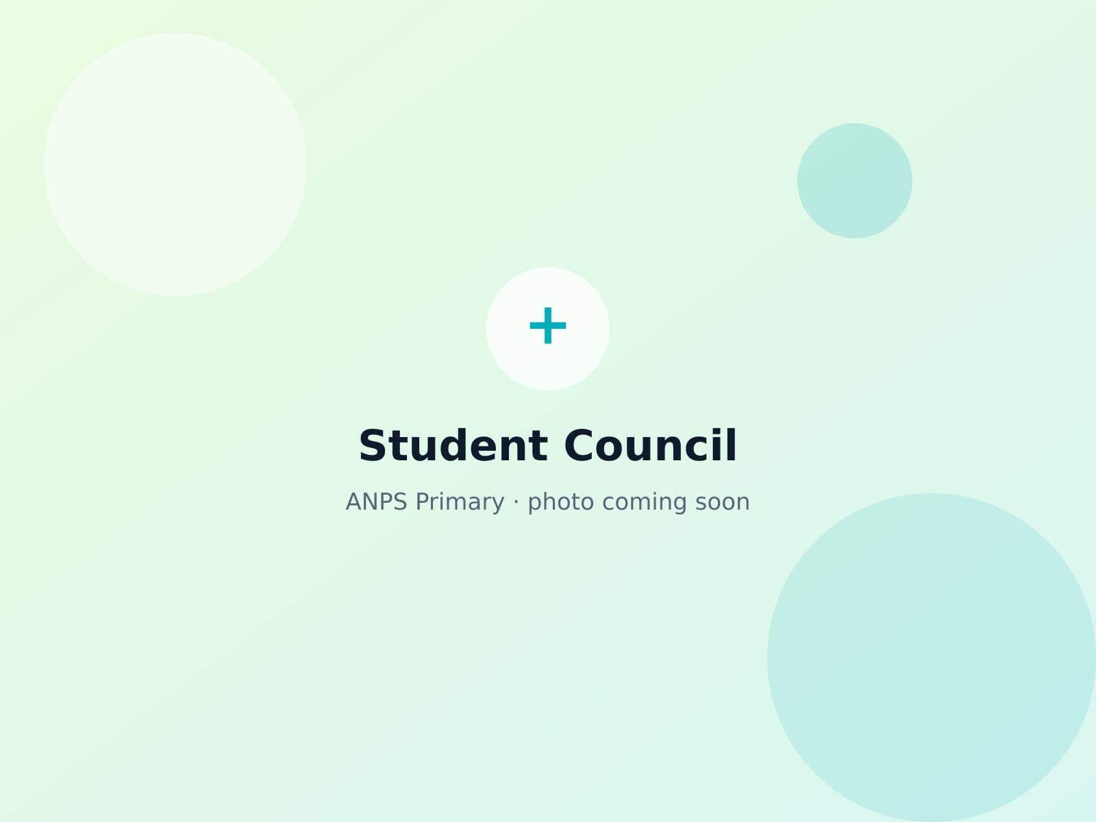 ANPS Primary student council members standing together