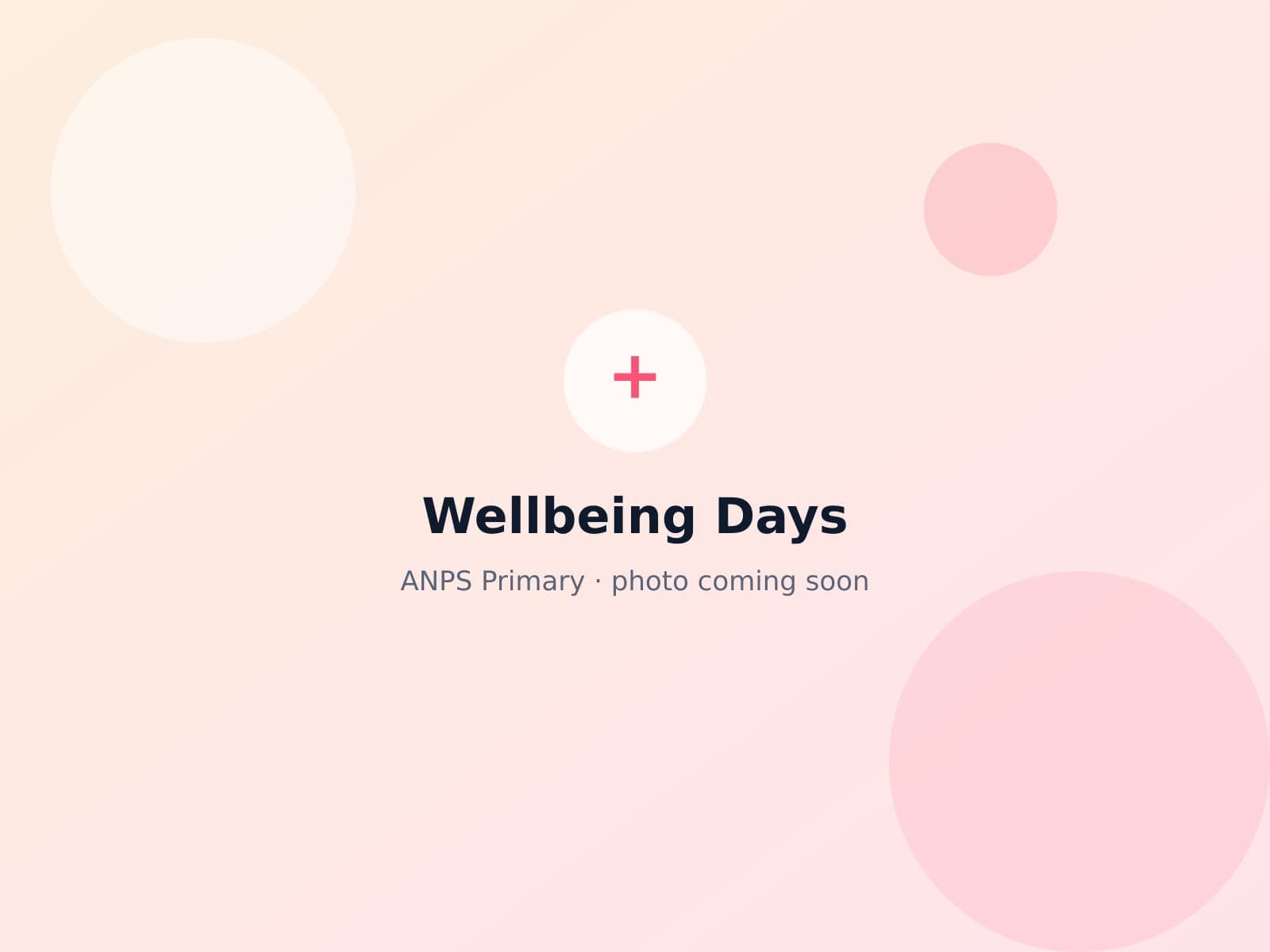 Primary students enjoying a wellbeing day activity