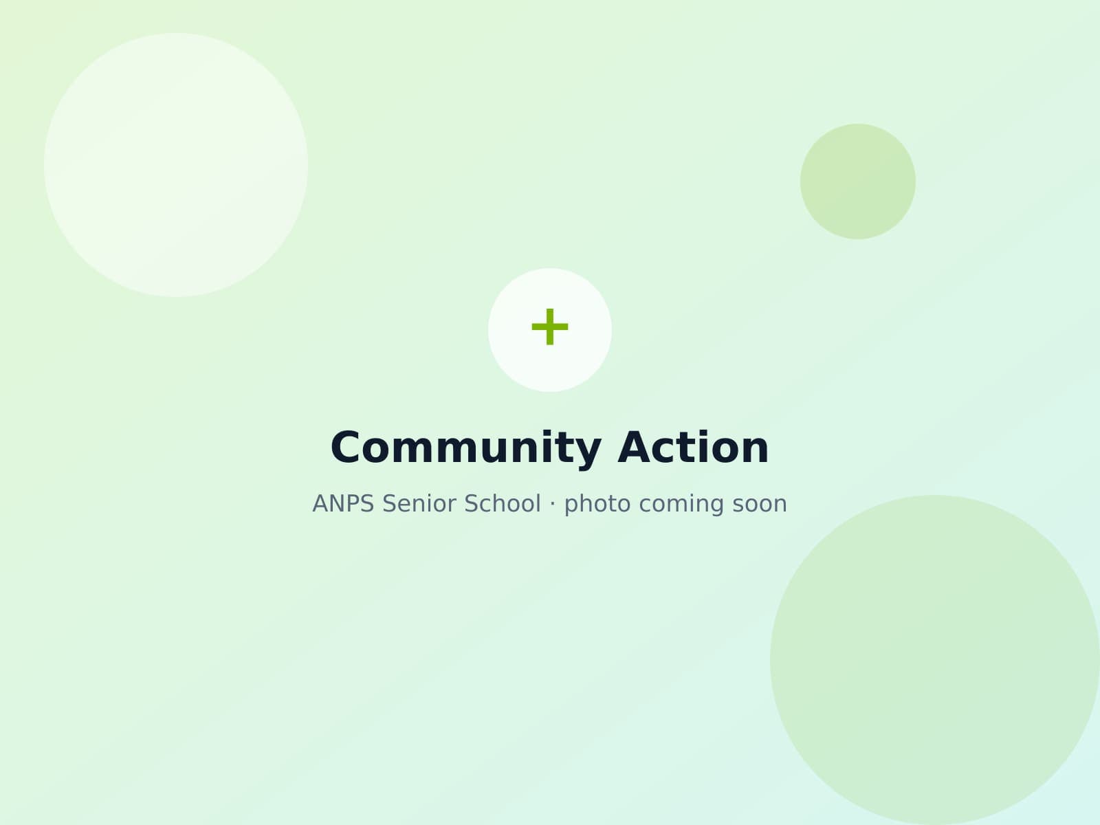 ANPS High School students taking part in a community service campaign
